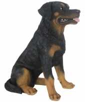 Tuinbeeld rottweiler hond 49 cm